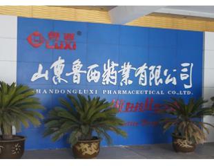 鲁西制药纯化水机组